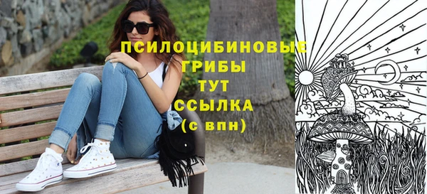 спайс Кодинск