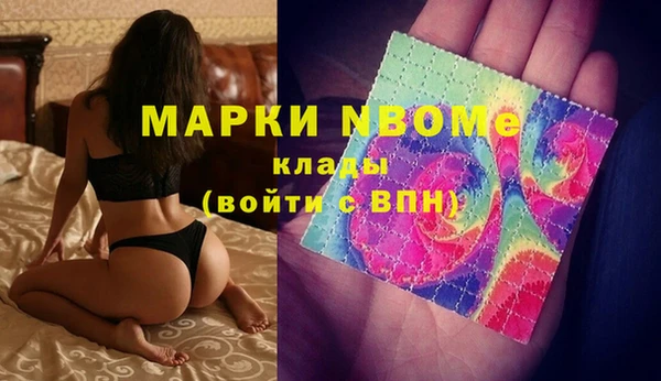 индика Красноперекопск