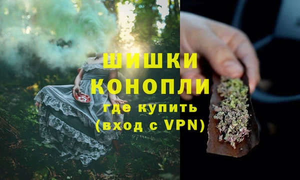 прущие грибы Валдай