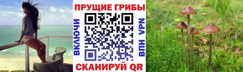 Псилоцибиновые грибы Magic Shrooms  Кирс 